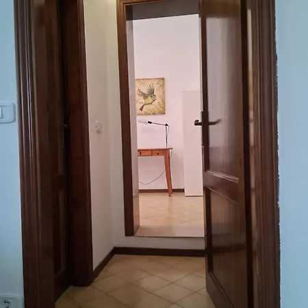 Silvana * Grosseto